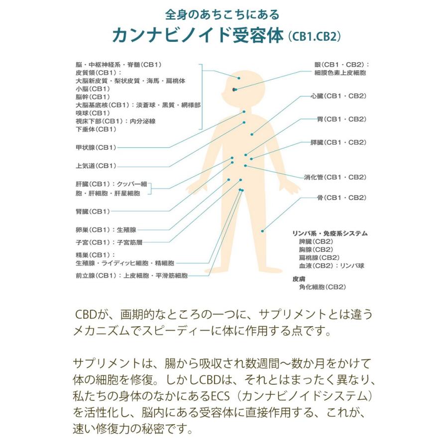 白姫 CBD CREAM PLEASURE 30g 3個 白姫 CBD CREAM PLEASURE 30g 3個