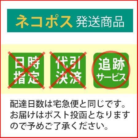 秋元隆良 龍と鳳凰六景カードセット 第2弾 ネコポス｜kenkami｜03