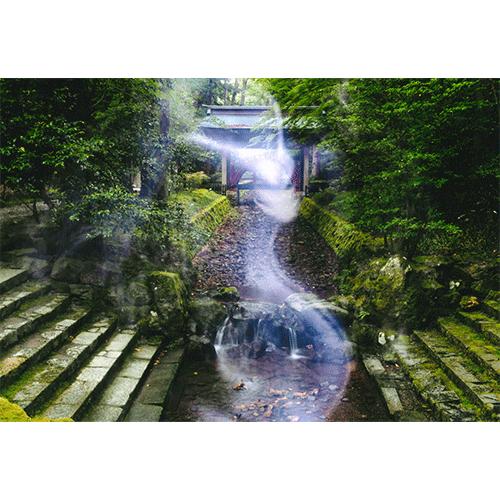 竜神曇と鳳凰同時撮影　自然風景写真 50%OFF 秋元隆良 龍と鳳凰六景カードセット 第2弾 ネコポス : 健康な髪