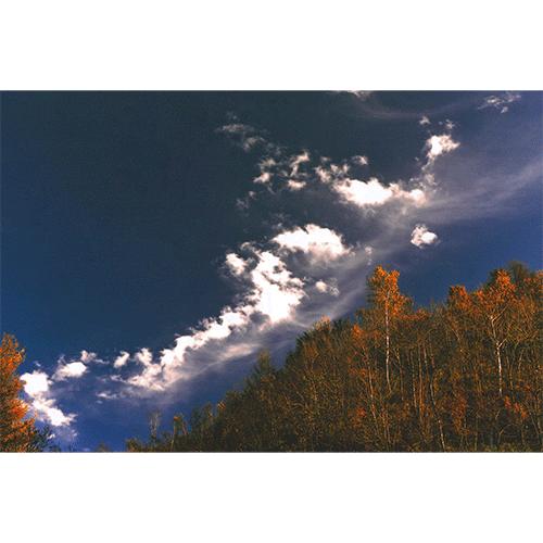 竜神曇と鳳凰同時撮影　自然風景写真 50%OFF 秋元隆良 龍と鳳凰六景カードセット 第2弾 ネコポス : 健康な髪