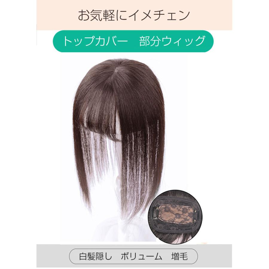 部分ウィッグ 最安値挑戦 人毛100 トップカバー 薄毛 白髪隠し 医療用ウィッグ 総手植え 自然 小顔効果 かつら 増毛 女性用 つけ毛 Wig 30cm 分け目 つむじ