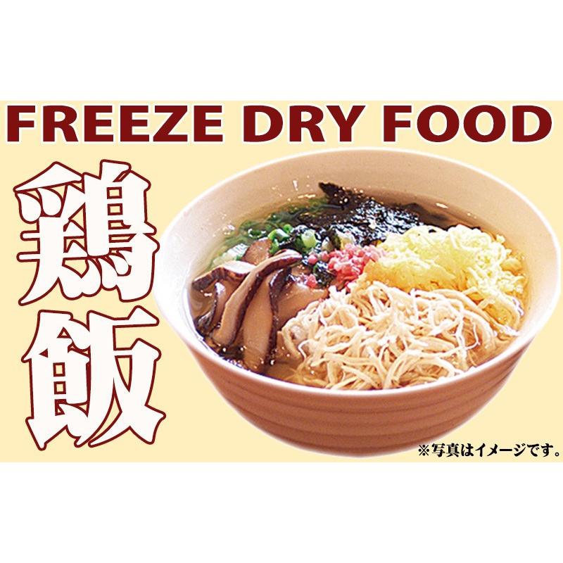 具だくさん 鶏飯 フリーズドライ 10個入り×10箱 鹿児島 奄美大島 郷土
