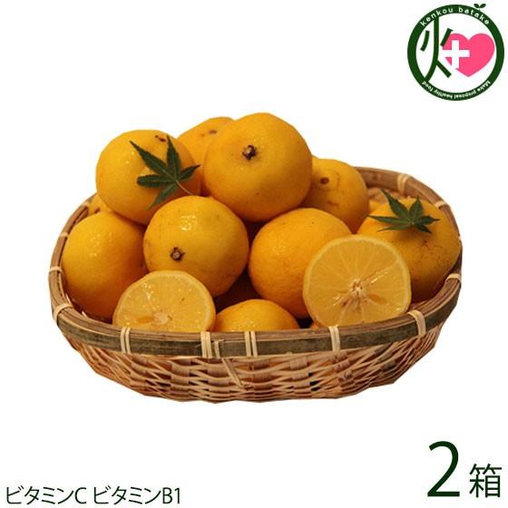 有機肥料で育てた 土佐の小夏 3kg×2箱 家庭用 青山農園 日向夏