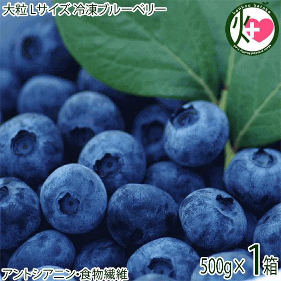 「森のサファイア」大粒 Lサイズ 冷凍 ブルーベリー 500g×1P 大粒 完熟ジューシー 糖度13〜15度 条件付き送料無料