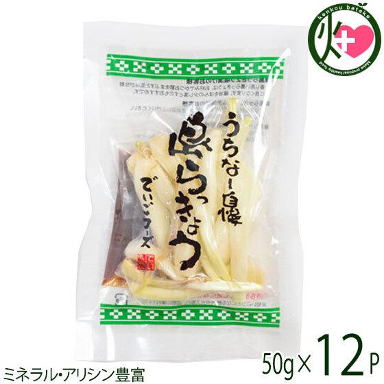 沖縄県産♪島らっきょう10㎏ 楽天市場】島らっきょう（生）10kg /沖縄 伊江島産 【送料無料