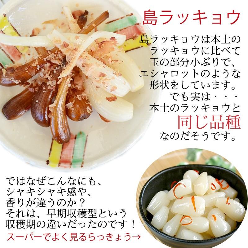 沖縄おつまみ 島らっきょう白 黒 詰め合わせ×10箱 TVでも話題の島らっきょう抗酸化パワー_5