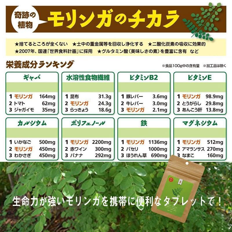 モリンガのチカラ タブレット 25g(約250粒)×12袋 Free Our Soul_2