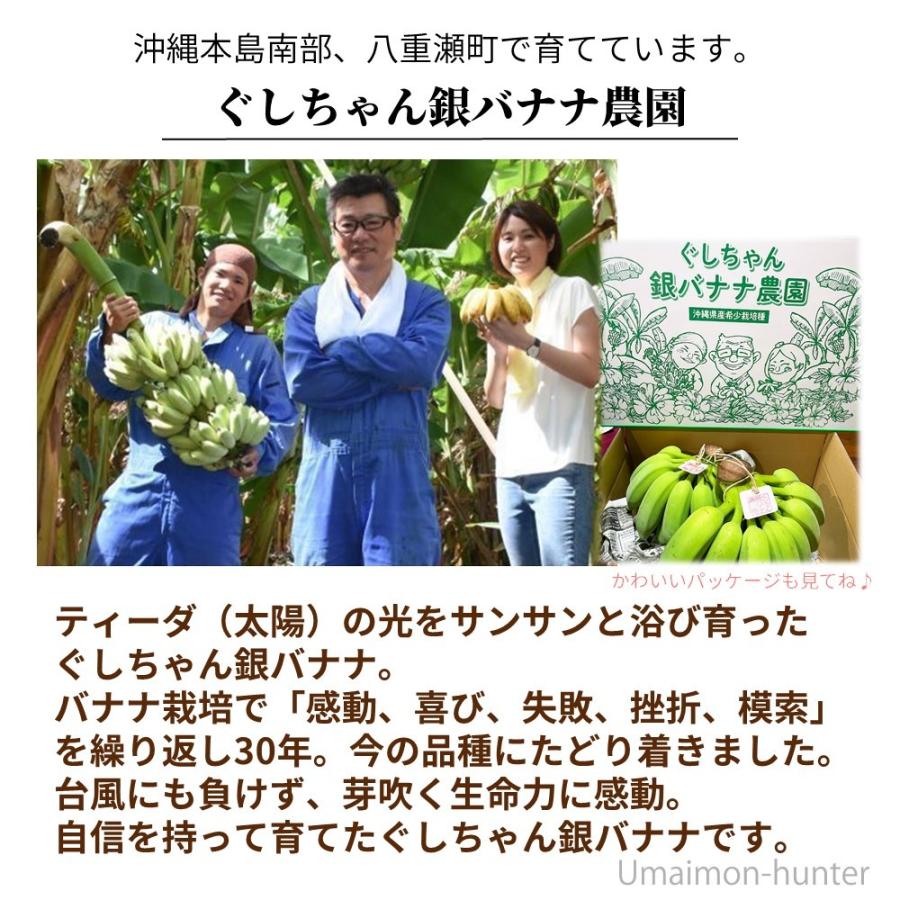 もっちり ぐしちゃん銀バナナ 約3kg 実20本前後 沖縄県八重瀬町産 有機 