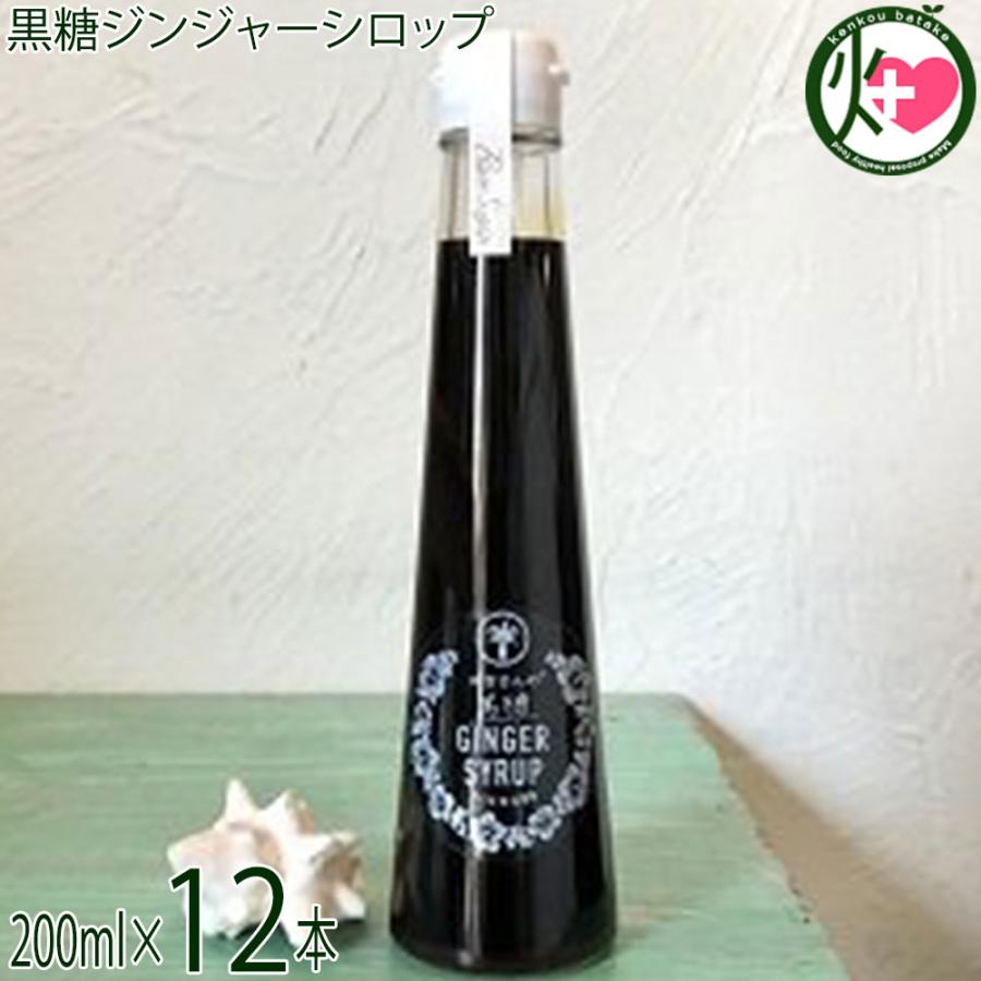 高い品質 石垣島 ゆきさんの黒糖ジンジャーシロップ 0ml 12本 ハワイアングロット 沖縄 保存料不使用 天然ミネラル 林修の今でしょ 講座 黒糖 条件付き 国内最安値 Www Muslimaidusa Org