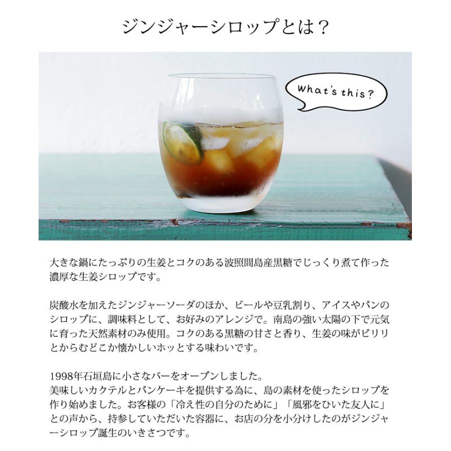 配送員設置送料無料 ハワイアングロット 石垣島 ゆきさんの黒糖ジンジャーシロップ 0ml 12本 沖縄 石垣 土産 人気 ショウガ 黒蜜 条件付き送料無料 Seal限定商品 Www Technet 21 Org
