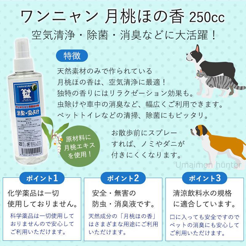 ワンニャン 月桃ほの香 250ml×1本 Ｈ・Ｂ・Ｉ 犬猫用 防虫 消臭 除菌 ペット 月桃 安心 安全｜kenko-batake｜02