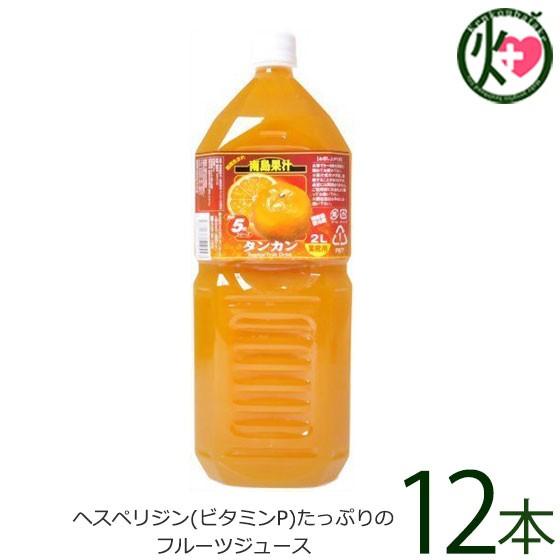 南島果汁 タンカン 2L(5倍濃縮)×12本 北琉興産 沖縄 土産 南国フルーツ 柑橘系 ドリンク ヘスペリジン(ビタミンP)