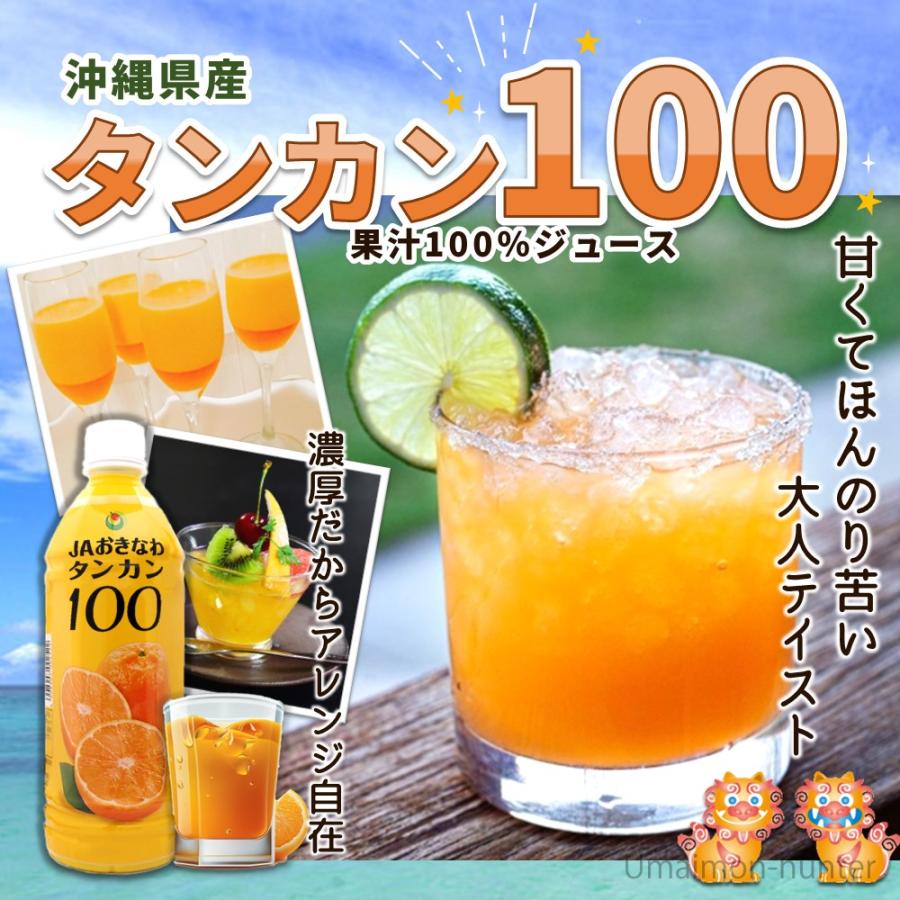 たんかん 100 500ml×24本 JAおきなわ 沖縄県産タンカン 果汁100 たんかん 100 500ml×24本 JAおきなわ 沖縄県産タンカン 果汁100