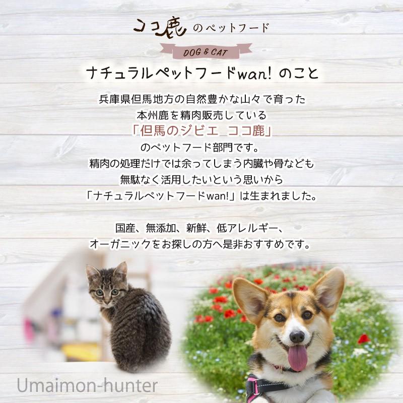 鹿のロングボーン LLサイズ×7P 但馬のジビエ ココ鹿 兵庫県 人気 ナチュラルペットフード ストレス解消 カルシウム摂取_2