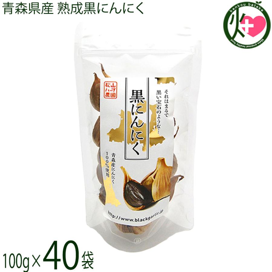 熟成黒にんにく 青森産 100g 40p 松山ハーブ農園 スタンドパック 黒ニンニク 国産 青森産 フルーツにんにく 奇跡の健康食品 送料無料 Myhb Krnnk S100 Nm 040 けんこう畑 通販 Yahoo ショッピング