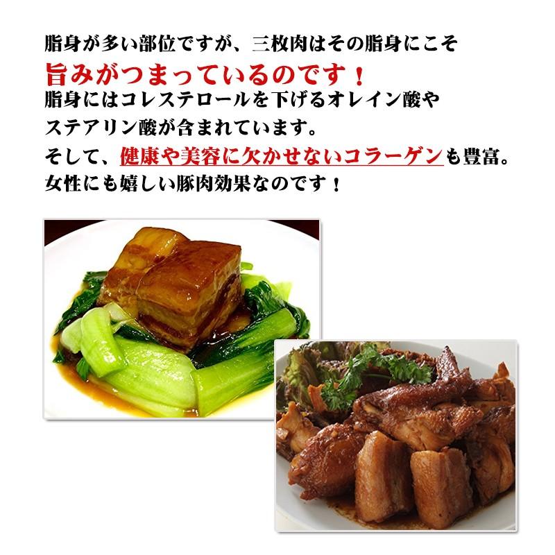 あぐー豚角煮 100g×5箱 南都物産 沖縄 土産 沖縄土産 らふてぃ 沖縄風豚角煮 コラーゲン豊富 オレイン酸 ステアリン酸｜kenko-batake｜02