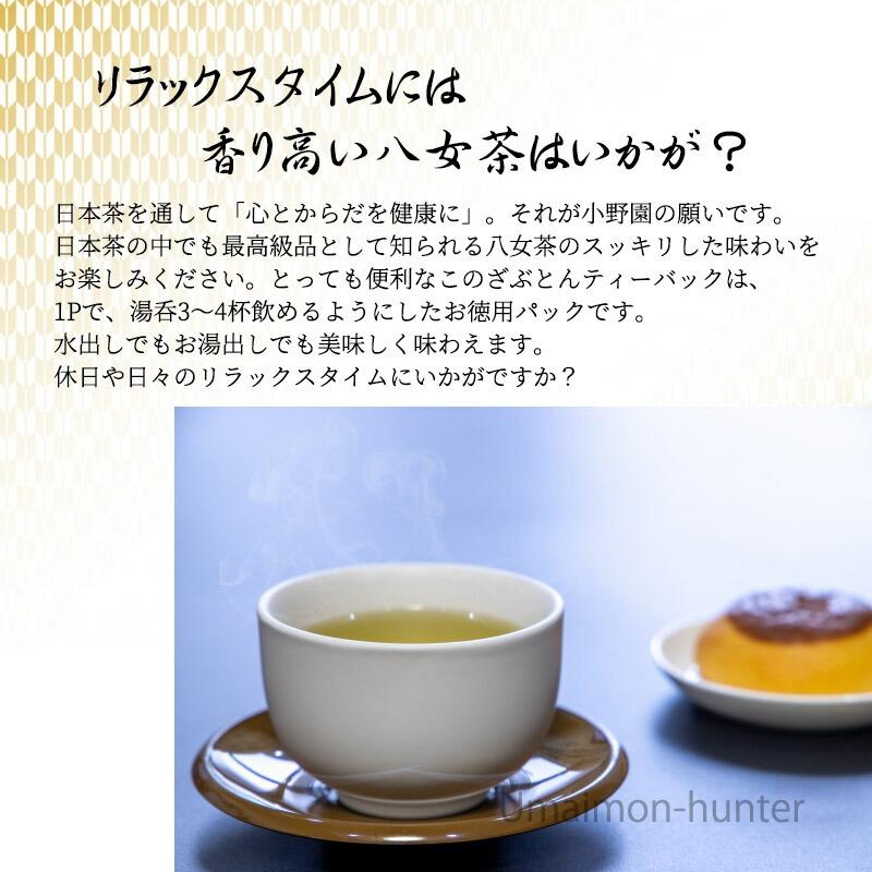 JA八女茶 ティーパック 5g×20P×5袋 JAふくおか八女 国産 緑茶 煎茶