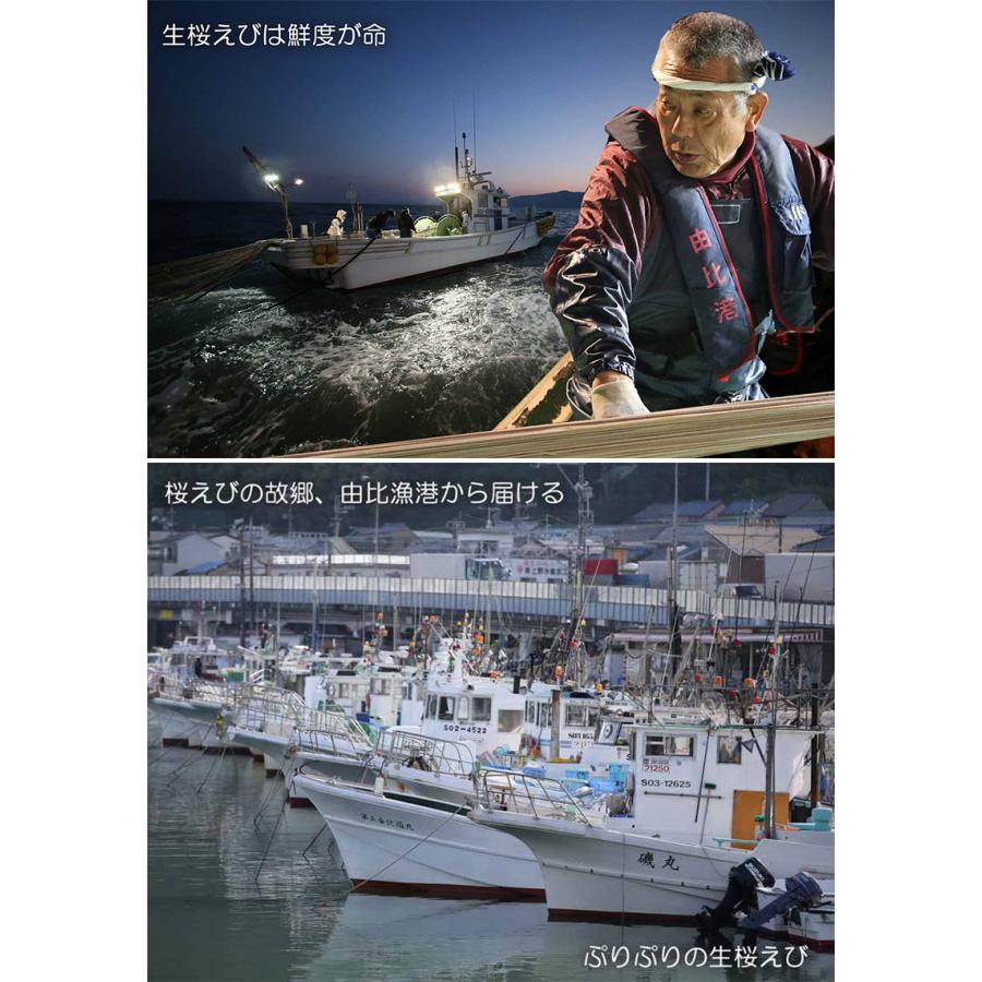 駿河湾 生桜えびamp 生しらすづけセット おいしい産業 静岡県 桜エビ シラス カルシウム 希少 産地直送 ビタミンd おすすめ 条件付き送料無料