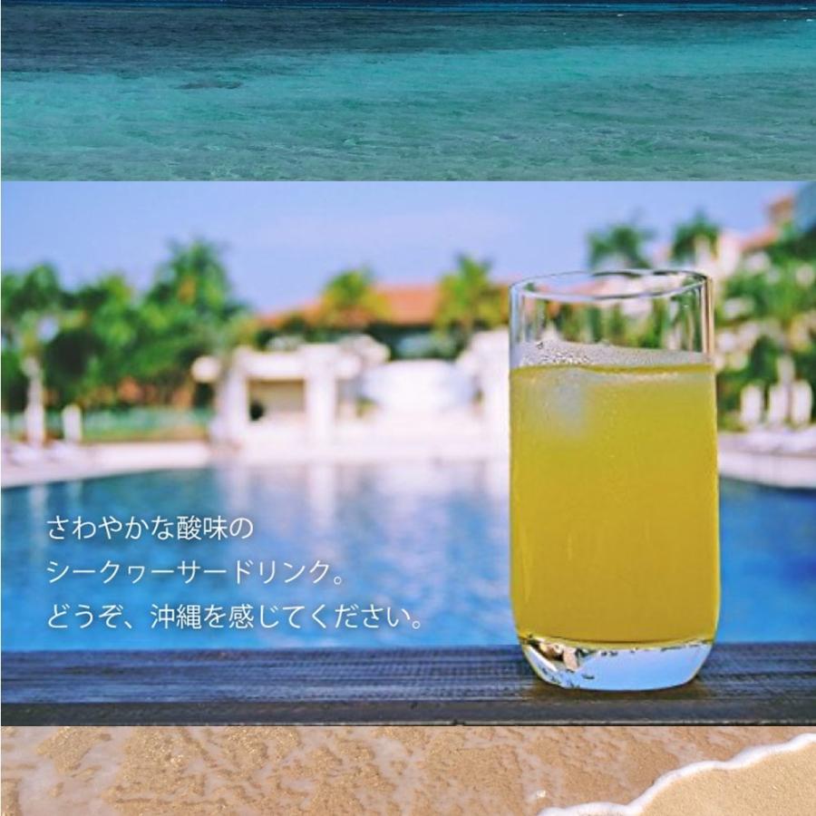 オキナワ シークヮーサー 100 500ml×20本 オキハム 沖縄 土産 南国フルーツ シークワーサー ノビレチンの画像