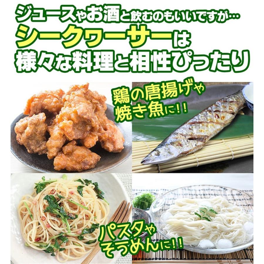 オキナワ シークヮーサー 100 500ml×20本 オキハム 沖縄 土産 南国フルーツ シークワーサー ノビレチンの画像