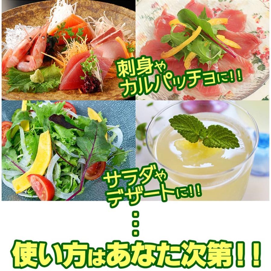 オキナワ シークヮーサー 100 500ml×20本 オキハム 沖縄 土産 南国フルーツ シークワーサー ノビレチンの画像