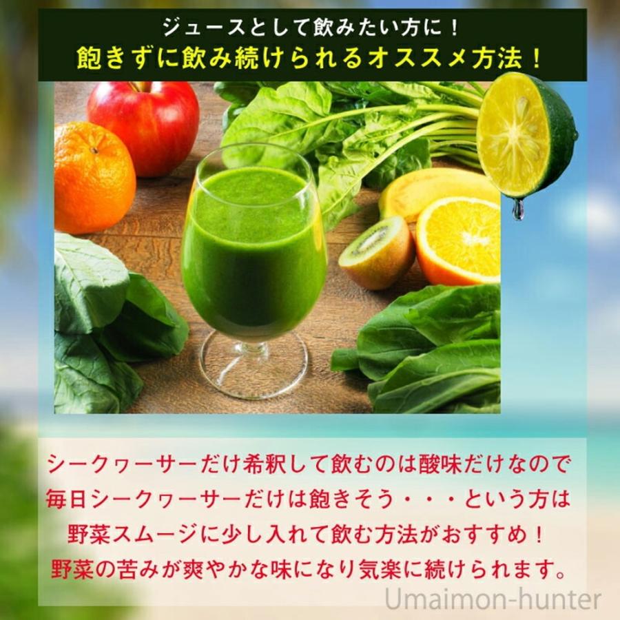 オキナワ シークヮーサー 100 500ml×20本 オキハム 沖縄 土産 南国フルーツ シークワーサー ノビレチンの画像