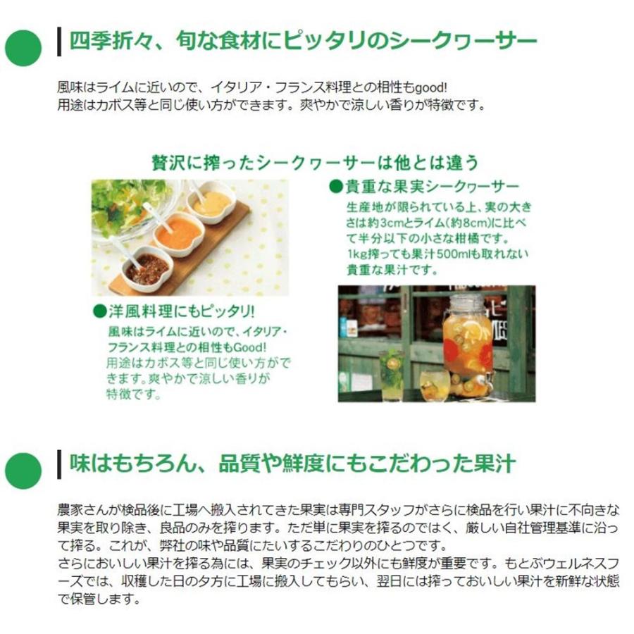 オキナワ シークヮーサー 100 500ml×20本 オキハム 沖縄 土産 南国フルーツ シークワーサー ノビレチンの画像