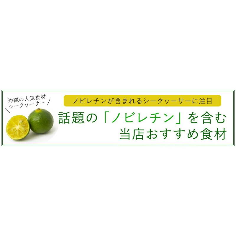 オキナワ シークヮーサー 100 500ml×24本 オキハム 沖縄 土産 南国フルーツ シークワーサー ノビレチンの画像