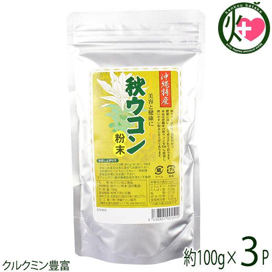 秋ウコン粉末 アルミスタンドパック 100g×3P 沖縄ウコン販売 鬱金 うっちん クルクロンガ 秋ウコン100％ クルクミン豊富
