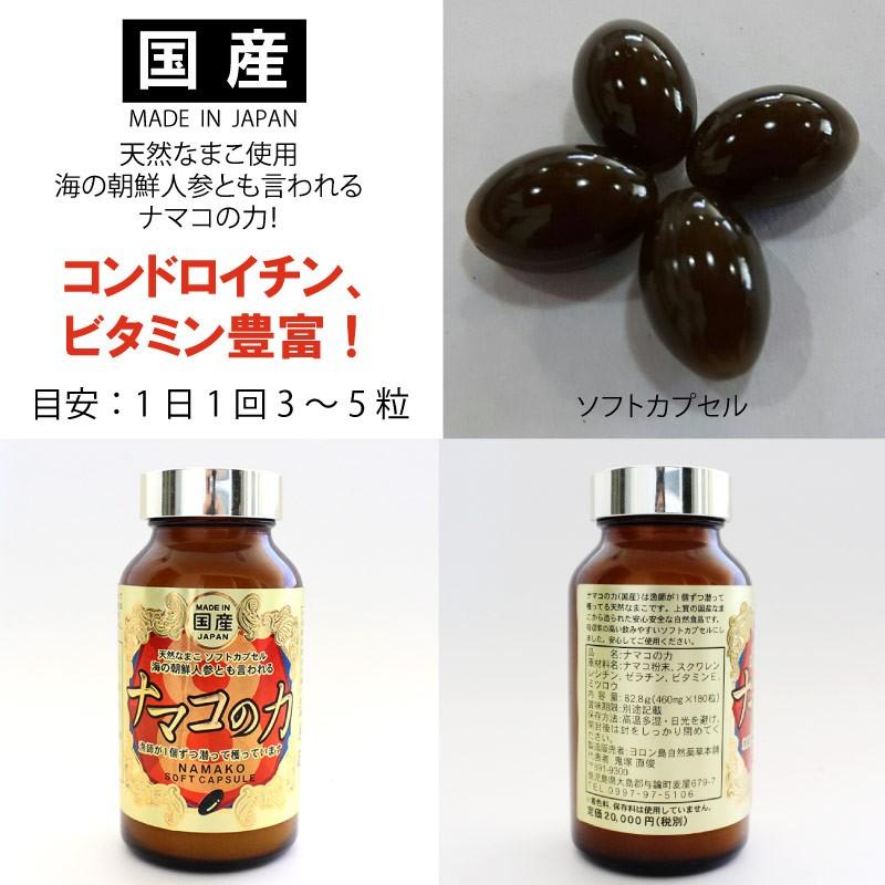 ナマコの力 460mg(180粒入り)×1瓶 オニツカ興産 コンドロイチン