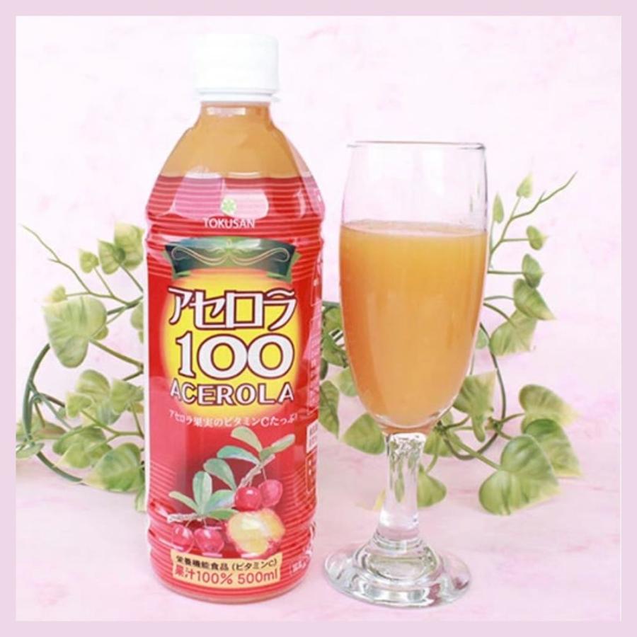 アセロラ100 500ml×48本 果汁100% 沖縄特産販売 沖縄土産 沖縄 土産 人気 ドリンク 健康管理｜kenko-batake｜08