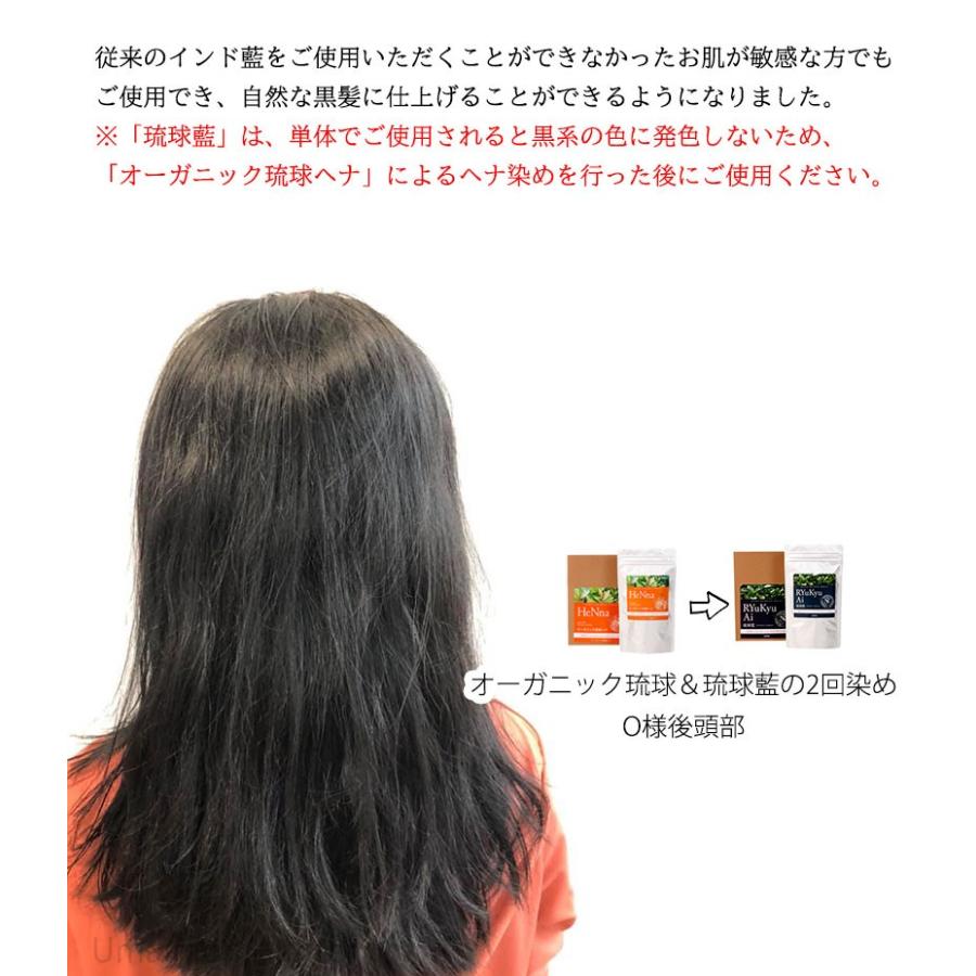 オーガニック琉球ヘナ 琉球藍 箱無100g×各1P 白髪染め 染毛料 国産