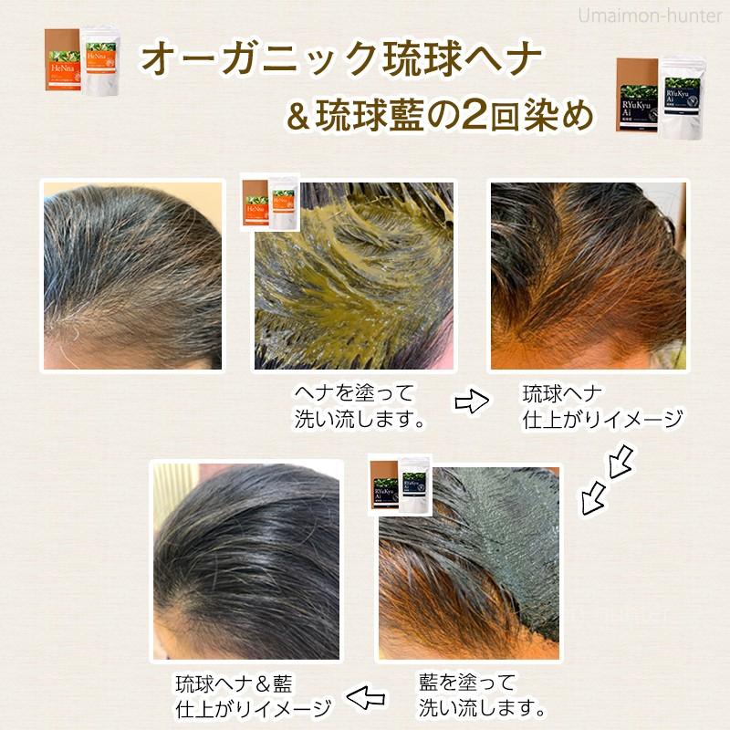 オーガニック琉球ヘナ 琉球藍 箱無100g×各1P 白髪染め 染毛料 国産