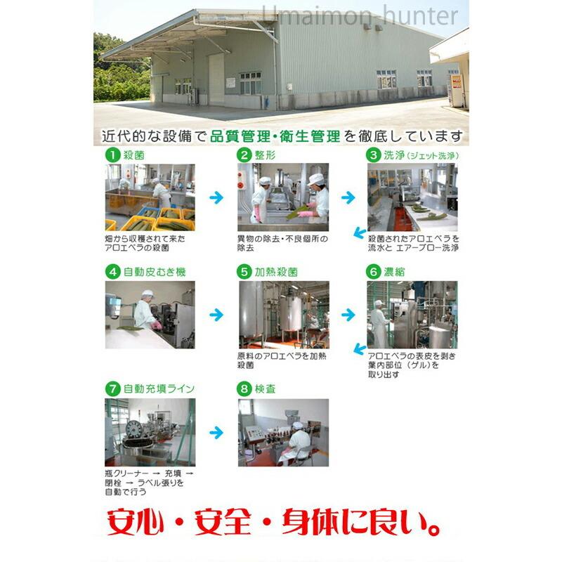 琉球アロエパウチ 葉肉無し 1000ml×6P 琉球アロエ 沖縄県産 アロエベラ 