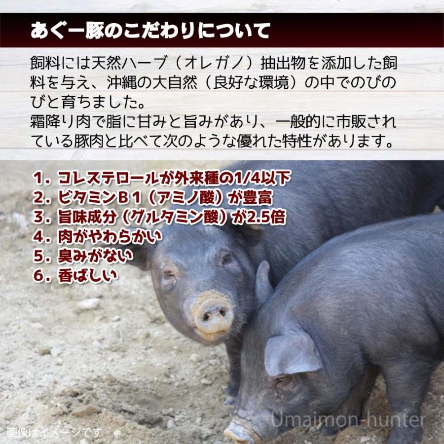 あぐーハンバーグ 180g×10個 琉球ミート 沖縄県産 あぐー豚 コレステロールが通常の豚の1/4｜kenko-batake｜04