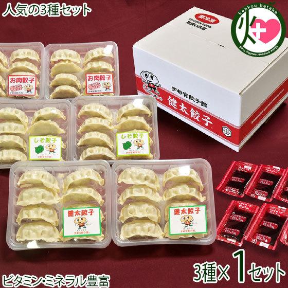 ギフト 健太餃子 シソ餃子 お肉餃子×各2パック 栃木 土産 冷凍 ギフト 健太餃子 シソ餃子 お肉餃子×各2パック 栃木 土産 冷凍