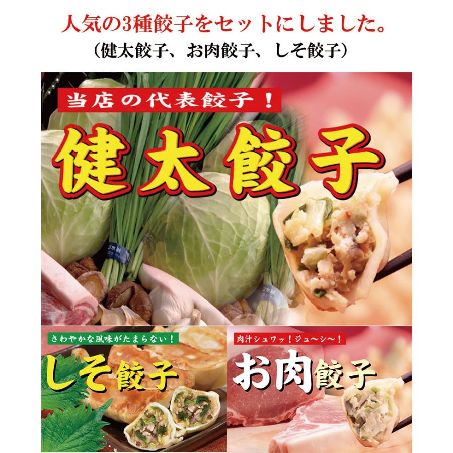 ギフト 健太餃子 シソ餃子 お肉餃子×各2パック 栃木 土産 冷凍 ギフト 健太餃子 シソ餃子 お肉餃子×各2パック 栃木 土産 冷凍