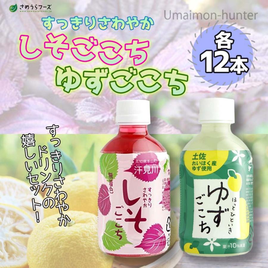 すっきりさわやか しそごこち ゆずごこち 各12本入り さめうらフーズ