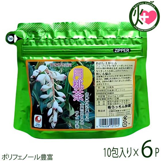 月桃茶 ティーパック(2g×10包入)×6袋 うっちん沖縄 沖縄 土産 人気 健康茶 健康管理 チャック式の平アルミパック仕様 ポリフェノール豊富｜kenko-batake