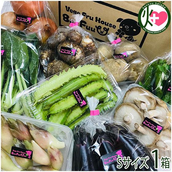旬の採れたて新鮮野菜詰め合わせ Sサイズ Buu Fuu Uuu 乳酸菌生産物質を使用 お客様の食卓に笑顔を届け (中身は季節により異なります)｜kenko-batake