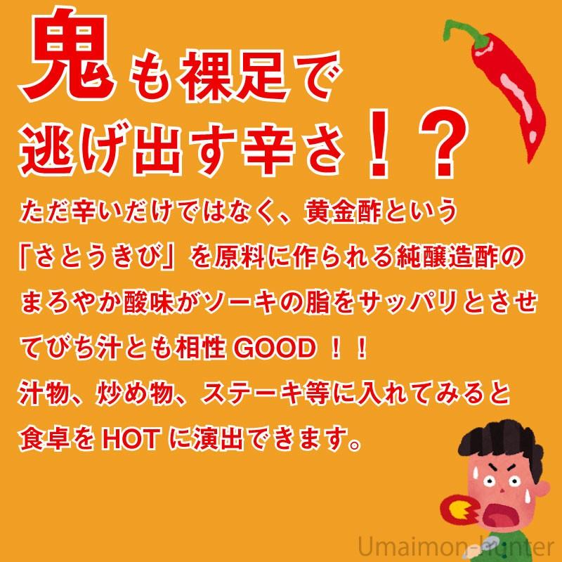 鬼のソース 150ml×3本 ヨロン島 鹿児島県 人気 定番 土産 とにかく辛い 調味料 カプサイシンたっぷり｜kenko-batake｜03