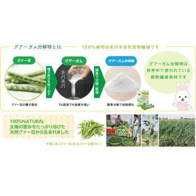 サンファイバー 1kg×２袋セット タイヨーラボ 食物繊維 【栄養】