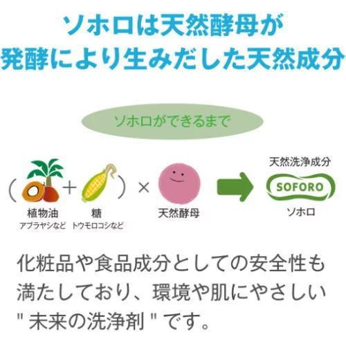 ハッピーエレファント 野菜・食器用洗剤 オレンジ＆ライム 500mL 詰替用 2回分｜kenko-depart｜04