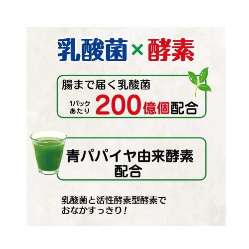 日本薬健 金の青汁 25種の純国産野菜 乳酸菌×酵素 お徳用 210g×9箱 日本薬健 金の青汁 25種の純国産野菜乳酸菌×酵素 3.5g×60包×3箱セット