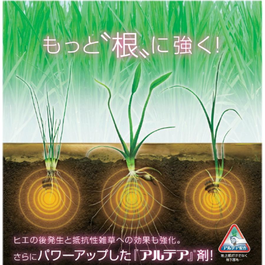流星ジャンボ 400g 【農薬】 : 健康デパート.com - 通販 - Yahoo 