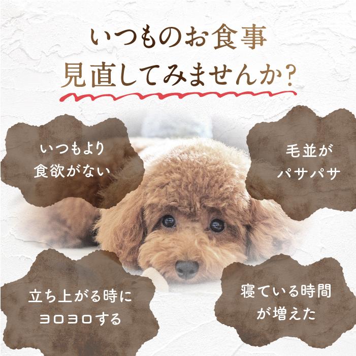 健康いぬ生活 ドックフード 無添加 国産 小粒 馬肉自然づくり 3kg