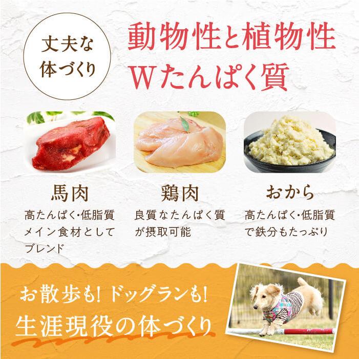 健康いぬ生活 ドックフード 無添加 国産 小粒 馬肉自然づくり 3kg