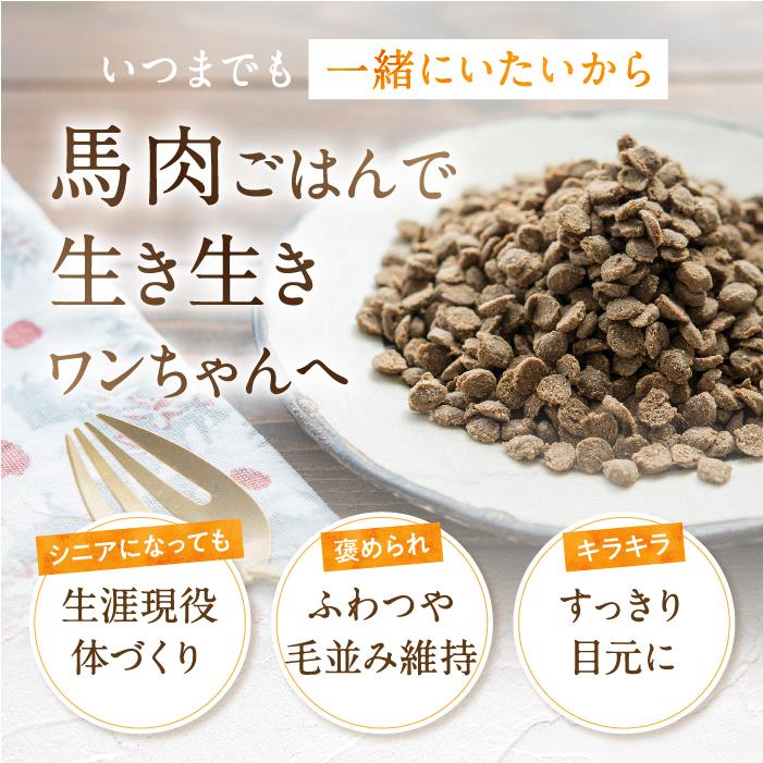 ドックフード 無添加 国産 小粒 馬肉自然づくり 1kg 馬肉 ドライフード 犬 馬肉フード 送料無料 熊本 馬刺し 涙やけ｜kenko-dog｜02