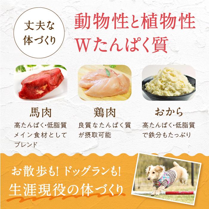 健康いぬ生活 ドックフード 無添加 国産 小粒 馬肉自然づくり 健康いぬ生活 ドックフード 無添加 国産 小粒 馬肉自然づくり