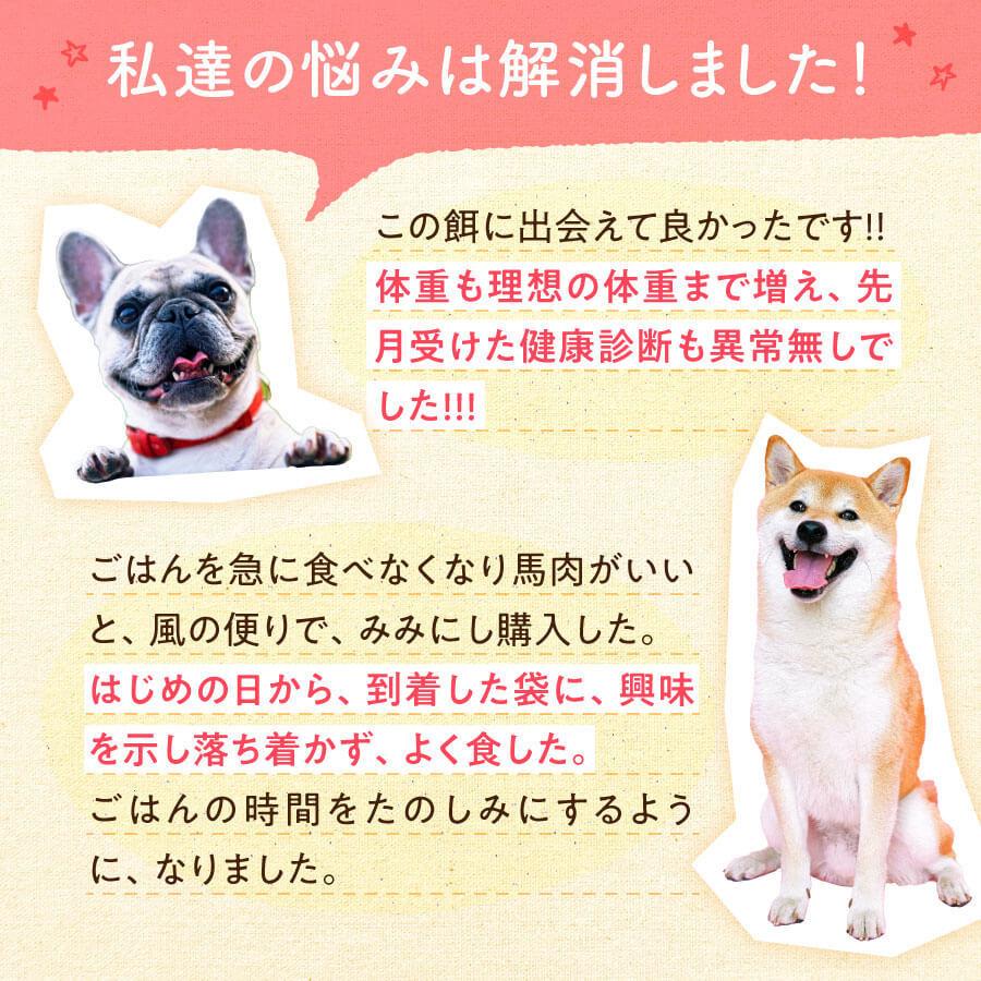 健康いぬ生活 ドックフード 無添加 国産 馬肉自然づくり 健康いぬ生活 ドックフード 無添加 国産 馬肉自然づくり